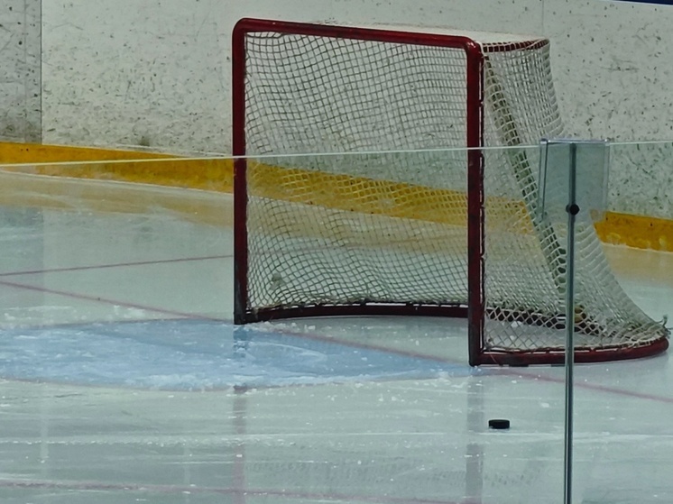 Два хоккеиста череповецкой «Северстали» сыграют за Россию в Кубке Первого канала