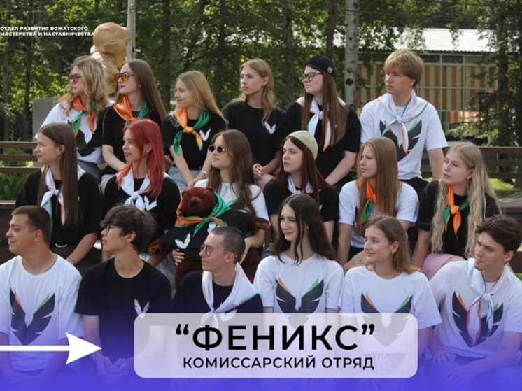 Туляки примут участие во всероссийском фестивале педотрядов «ПОЛАР.ПОКОЛЕНИЕ»