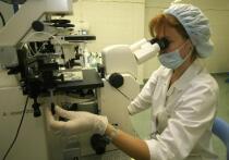 Ученые из Университета Вирджинии обнаружили возможный механизм, объясняющий, почему пациенты с болезнью Альцгеймера теряют воспоминания о близких людях