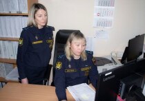 В Омске завершилось исполнительное производство по делу о нарушении авторских прав