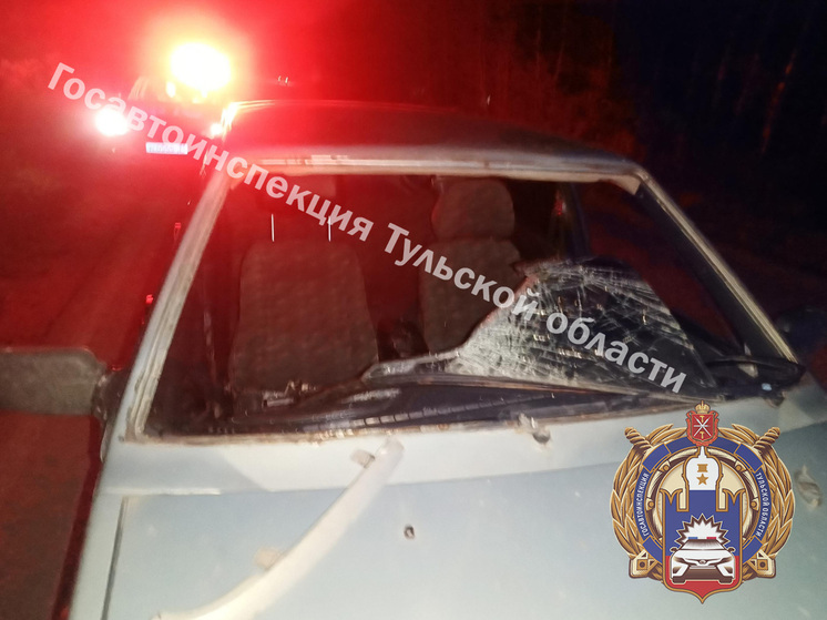 Пьяный водитель без прав насмерть сбил пешехода в Веневском районе