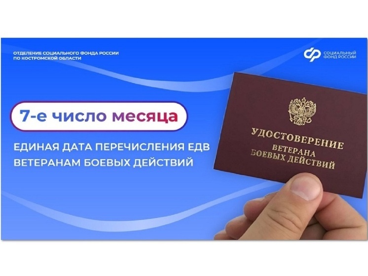 Костромским ветеранам СВО выплаты будут приходить 7-го числа каждого месяца