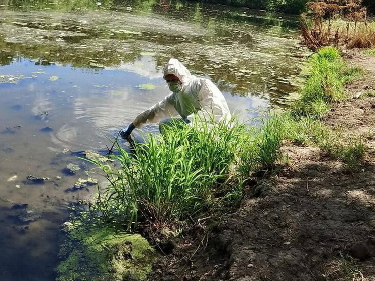 В Курской области состав марганца в реке Сейм в 5 раз превышает норму