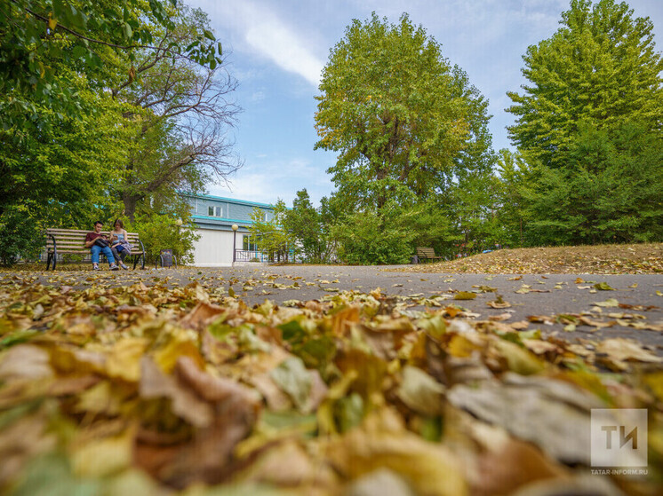 Резкое потепление придет в Татарстан на этой неделе