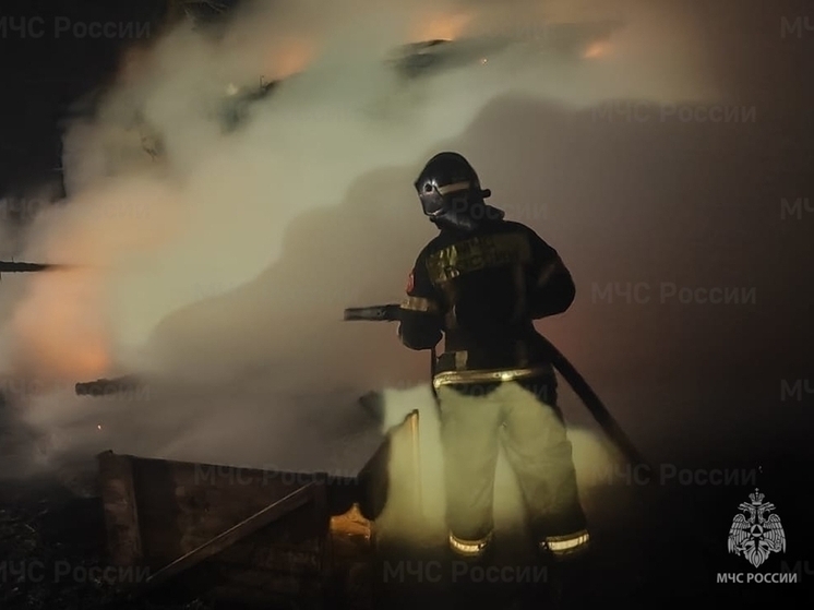 В Орле в СНТ «Восход» сгорела хозпостройка