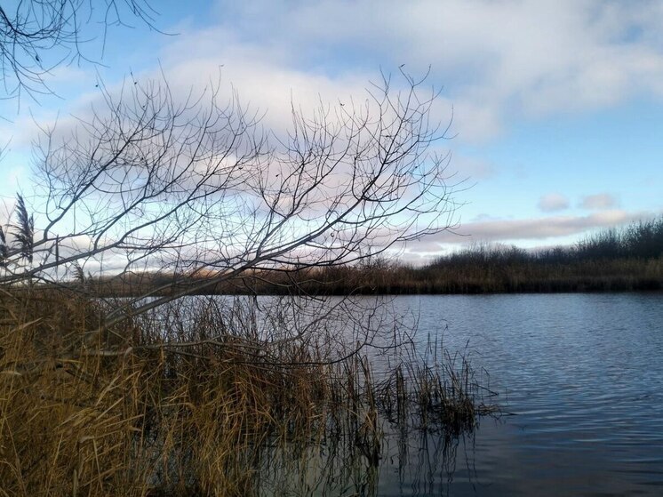 На тамбовском пруду «Кутыровский» разыгралась трагедия