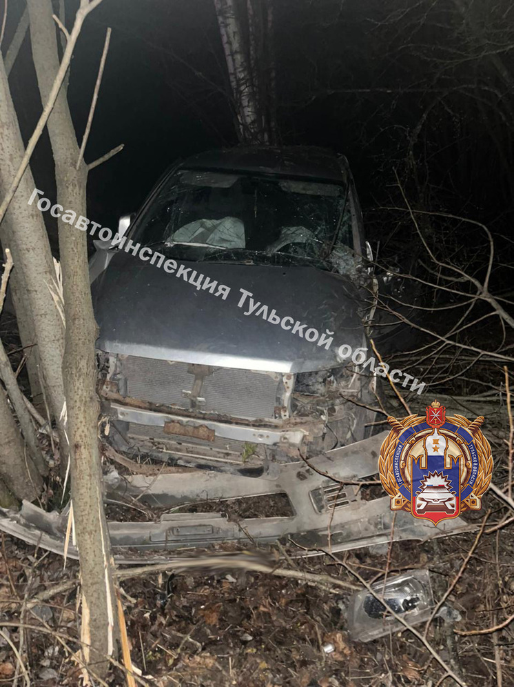 Туляк на Mitsubishi Space угодил в кювет под Ясногорском