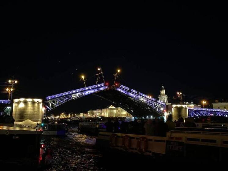 Технические разводки мостов в Петербурге запустят с 17 ноября