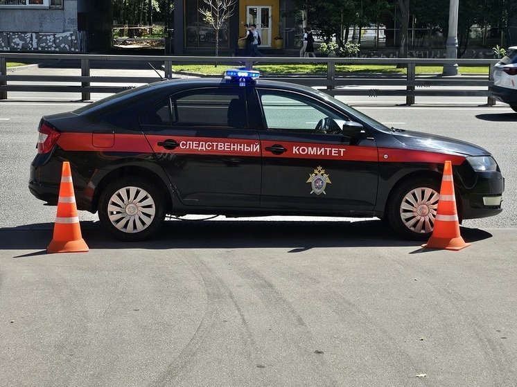 ТАСС: отец убитого в Балашихе мальчика накопил долги на 272 тысячи рублей