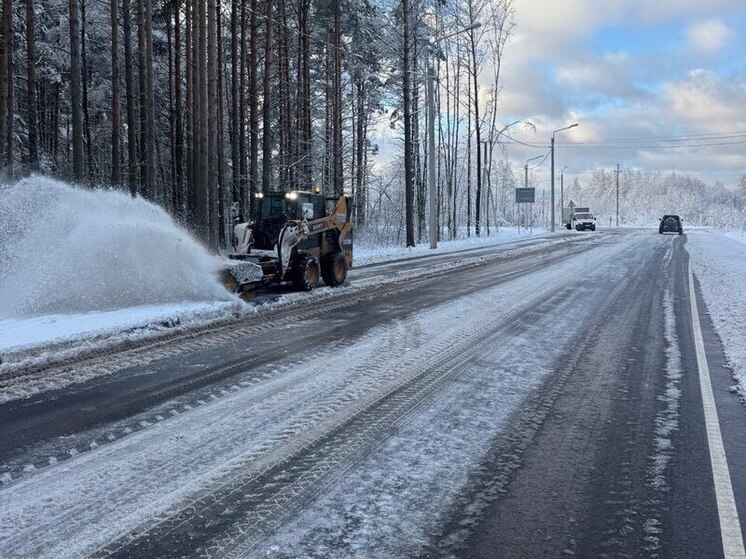На уборке первого снега в Ленобласти работали полторы тысячи человек