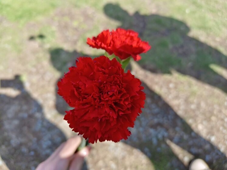 Ушел из жизни барнаульский музыкант и основатель рок-группы The 9 Сергей Лазорин