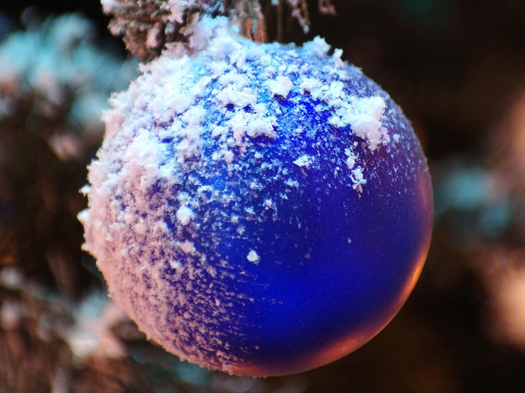 Как встретить Новый год с тем, кто тебя ненавидит, и не убить друг друга