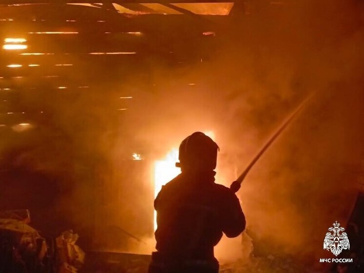 Костромские трагедии: в Мантурово при пожаре погиб мужчина