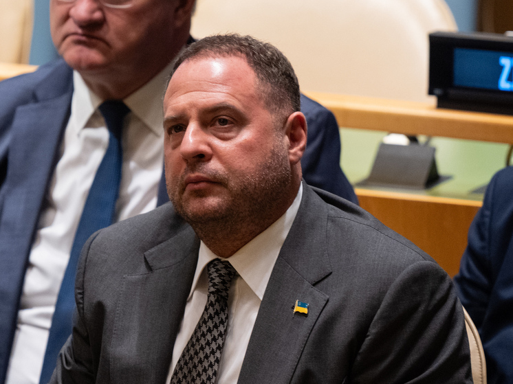 Депутат Рады Железняк: Андрей Ермак может фигурировать в материалах НАБУ как «Али-Баба»