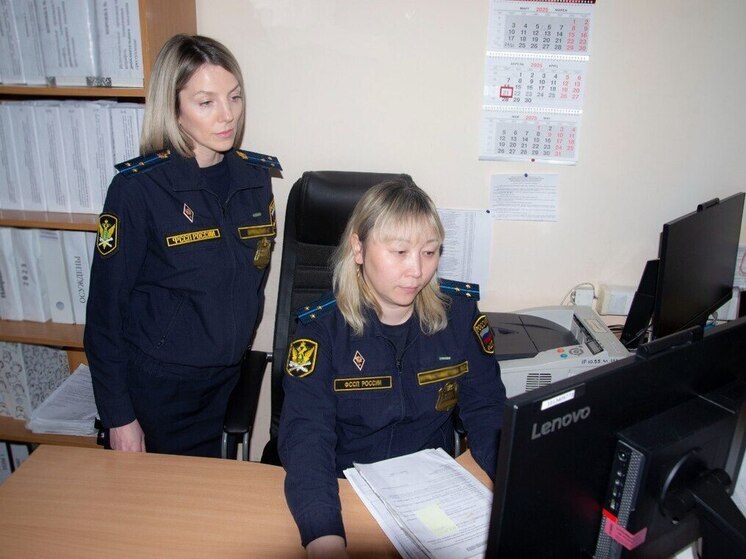 В Омске завершилось исполнительное производство по делу о нарушении авторских прав