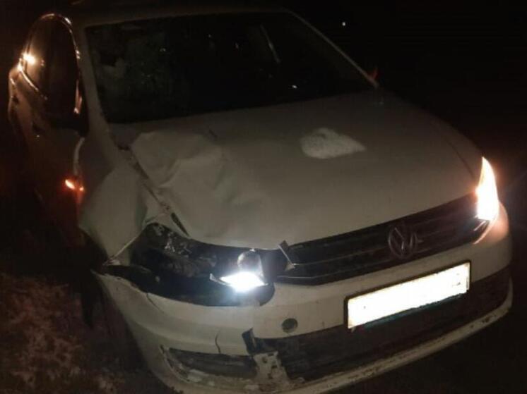 Туляк насмерть сбил девушку в Рязанской области: её личность не установлена