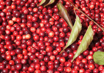 ГОСТ на арктический хлеб утвердил на днях Росстандарт