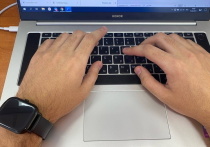 Омичи в октябре этого года стали на 71% активнее искать специалистов по компьютерной помощи, согласно данным сервиса «Авито Услуги»