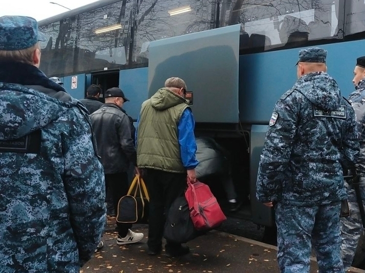 Почти 180 мигрантов, приехавших на Вологодчину, выдворили из страны