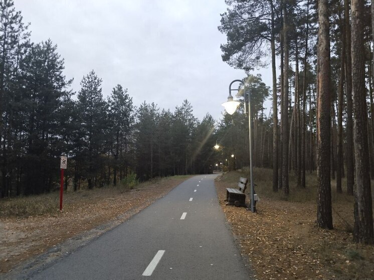 Сильный ветер и дожди ждут белгородцев во вторник