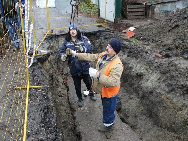 В  Курске коммунальщики спасли замурованных бетонной плитой котят