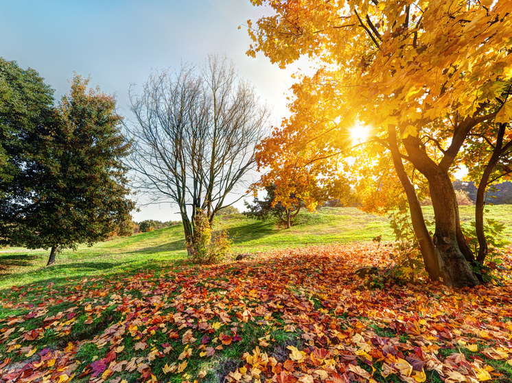 Дожди и 18 градусов тепла прогнозируют в Херсонской области 18 ноября