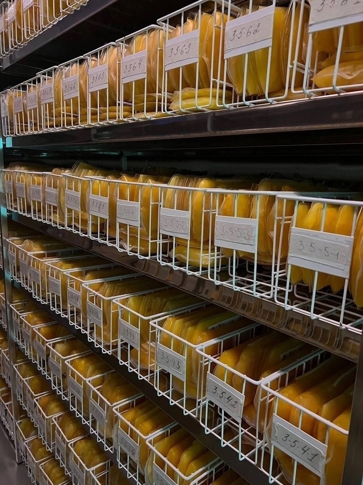 657 брянцев за неделю стали донорами крови