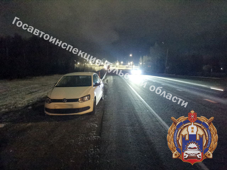 На трассе под Тулой пешеход попал под колеса Volkswagen