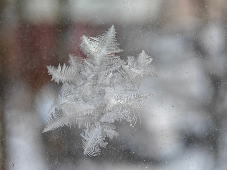 Вологодские синоптики рассказали о погоде на эту неделю