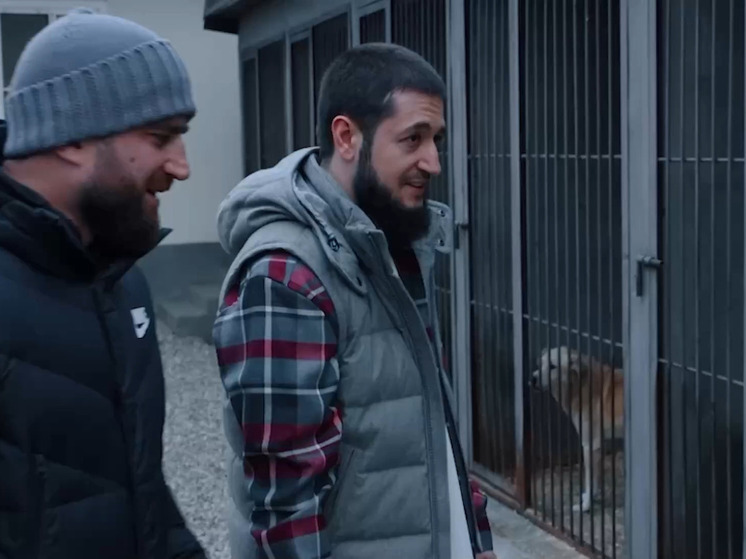 Минздрав Чечни помог приюту для бездомных животных-инвалидов