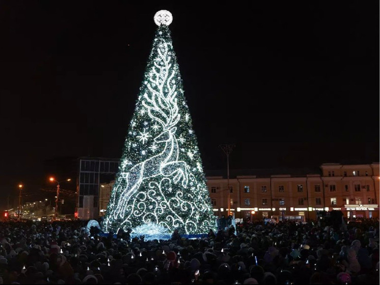 Главную елку Якутска может зажечь Дед Мороз из Великого устюга