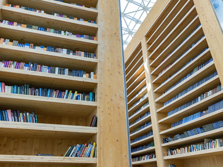 Две трети россиян заявили о любви к чтению