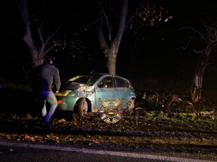 Молодая девушка пострадала в ДТП с наездом на дерево под Гулькевичами
