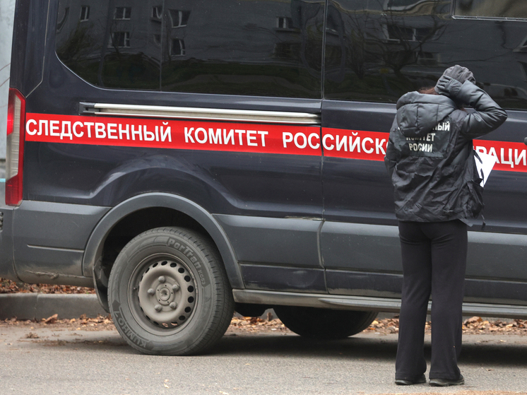 Язычник-педофил задержан в Москве