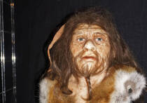 В генах людей по всему миру, за исключением коренных африканцев, можно обнаружить от одного до четырех процентов ДНК неандертальцев, а в совокупности человечество сохранило до двадцати процентов их генома. Это открытие, ставшее возможным благодаря расшифровке древней ДНК, однозначно свидетельствует: наши предки вступали в интимные связи с неандертальцами. В связи с этим рождается вопрос: что лежало в основе этих контактов — влечение и любовь или грубое насилие?