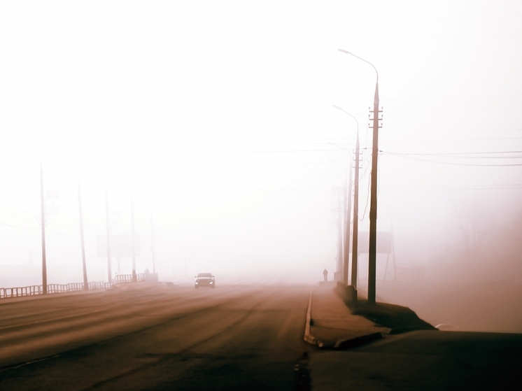 Тульское МЧС призвало соблюдать осторожность из-за густого тумана