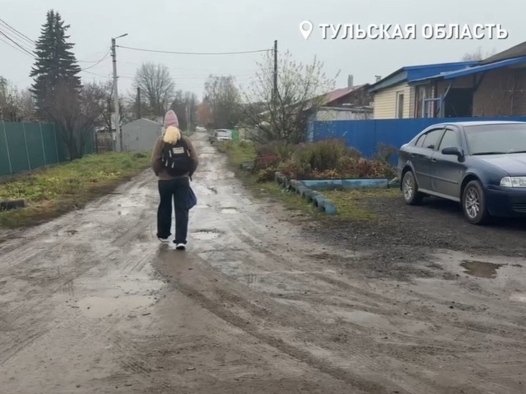 Народный фронт потребовал отремонтировать разбитую дорогу к школе в Щекино