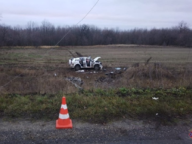 В Волгоградской области «Дэу Нексия» вылетела в кювет, пострадали два человека