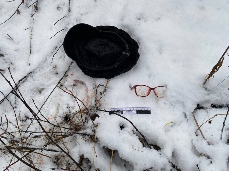 Жителя Кургана обвинили в убийстве женщины в Ловозерском районе