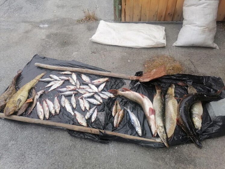 Южноуралец выловил полсотни рыб на особо охраняемой территории