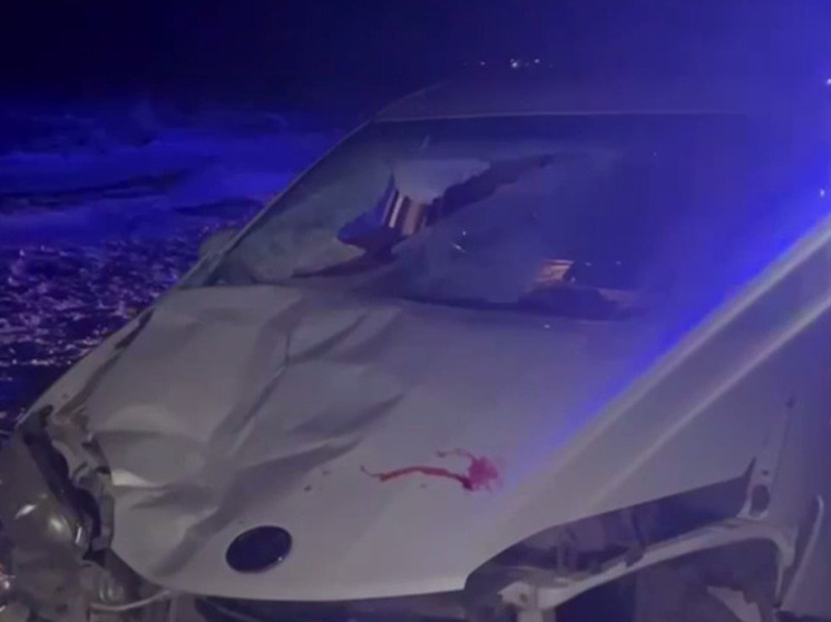 В Бурятии иномарка насмерть сбила пешехода в темное время суток