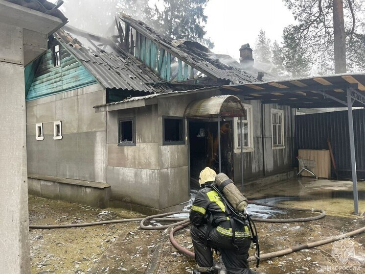 Во Всеволожске сотрудники МЧС потушили пожар в частном доме