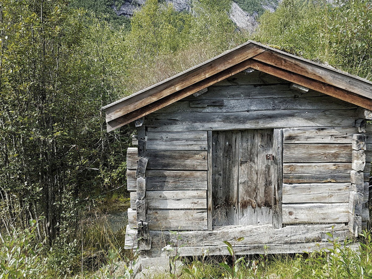 Стало известно, где участникам СВО в Самаре предоставляют землю