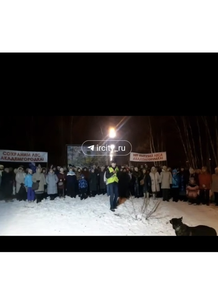 В Иркутске митинг против вырубки леса в Академгородке собрал сотни горожан