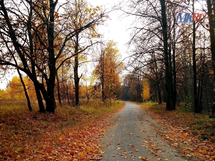 Калужан ожидает дождь с мокрым снегом