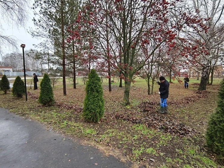 Новые контейнеры и чистота: в сёлах Притамбовья наводят порядок