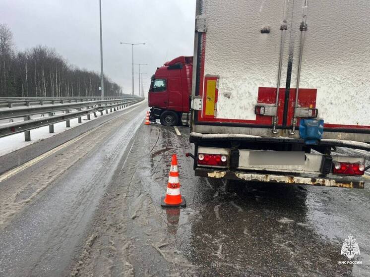 На М-11 в Тверской области грузовик налетел на ограждение