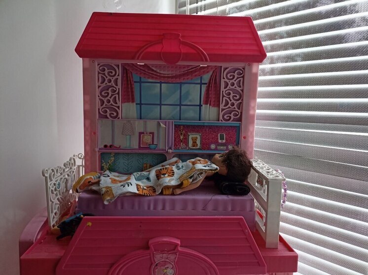 Новгородские малыши укротили огонь в «Ягодке»