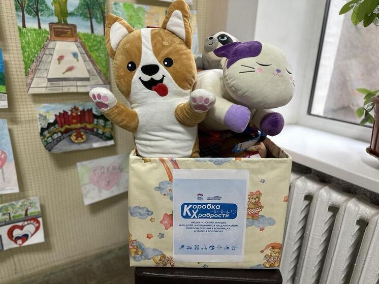 Пензенцы передали игрушки детям в больницу Токмака в рамках акции «Коробка храбрости»