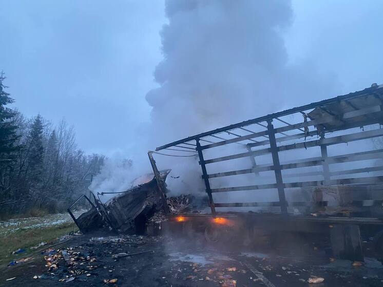 Водитель грузовика погиб в огненном ДТП в Новгородском округе